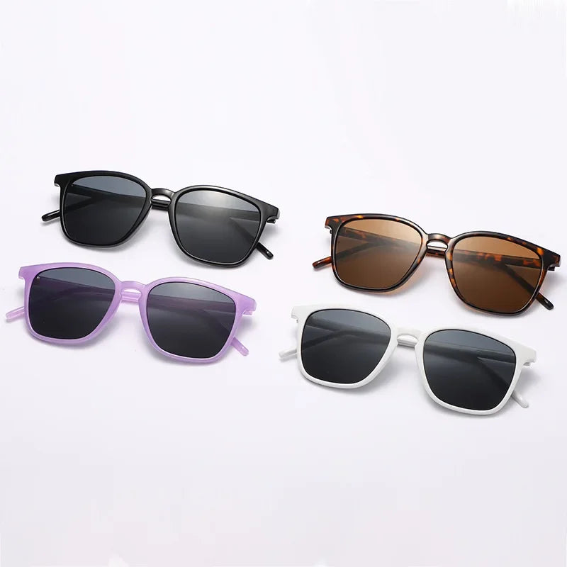 Sunglasses 4343