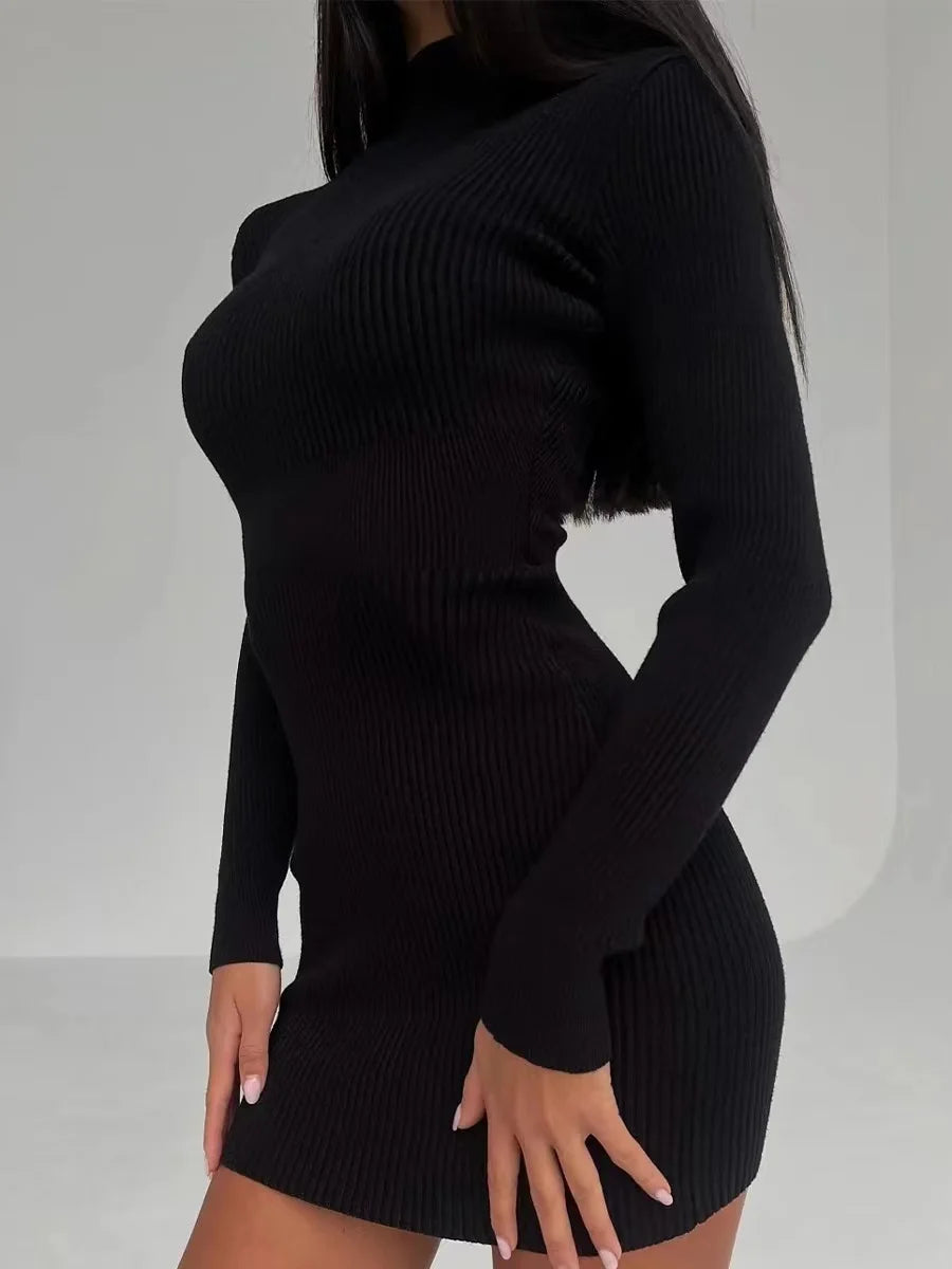 Knitted Turtleneck Dress 8888