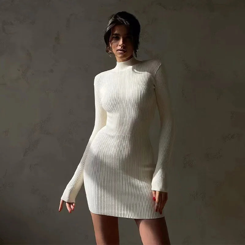 Knitted Turtleneck Dress 8888