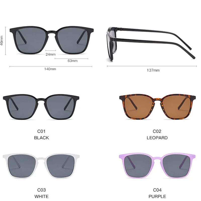 Sunglasses 4343